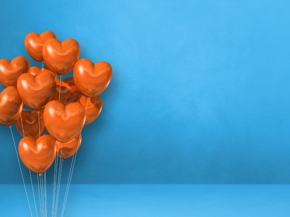 introducing-nests-referral-programme-share-the-love