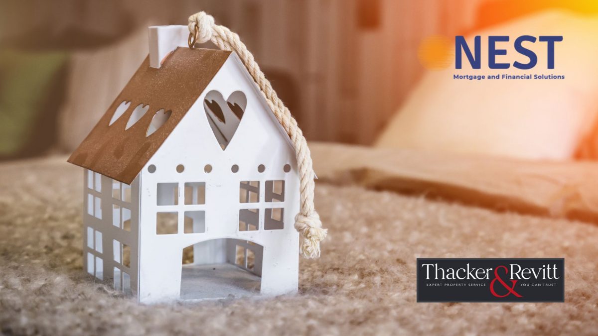 nests-collaboration-with-thacker-revitt