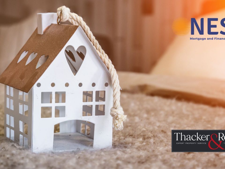 nests-collaboration-with-thacker-revitt